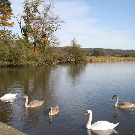Bed and breakfast Newburgh House Coxwold