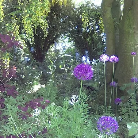 Newburgh House Coxwold