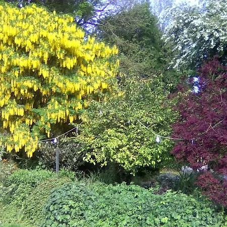 Bed and breakfast Newburgh House 3*