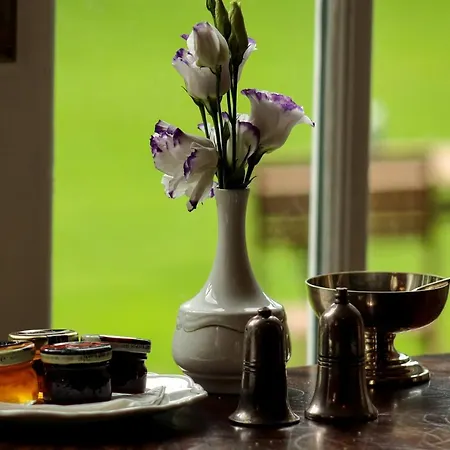 Bed & Breakfast Newburgh House