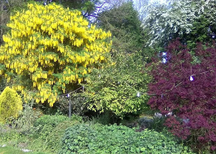 Nocleg ze śniadaniem Newburgh House 3*